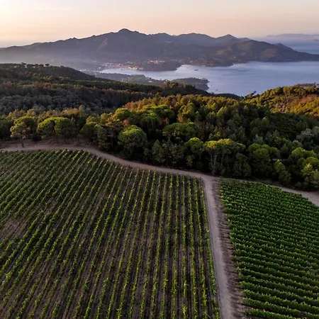 Tenuta Delle Ripalte 3* Capoliveri (Isola d'Elba)