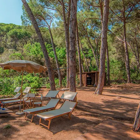Tenuta Delle Ripalte