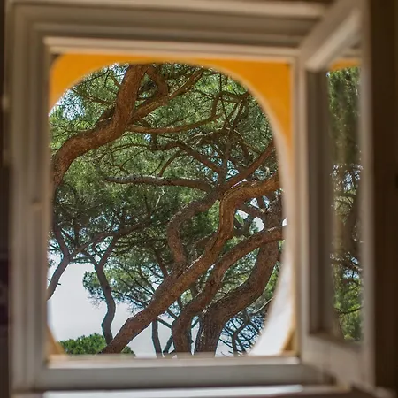 Tenuta Delle Ripalte 3*