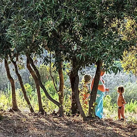 Tenuta Delle Ripalte Ξενοδοχείο 3*