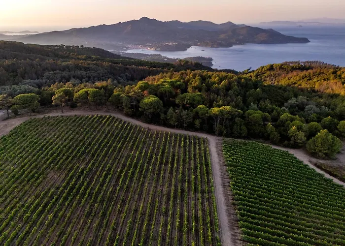Tenuta Delle Ripalte 3* Capoliveri (Isola d'Elba)